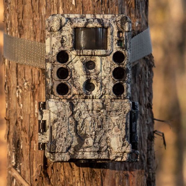 Bushnell Core DS-4K No Glow