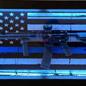 InvictaSafe Rifle & Shotgun Display Safe